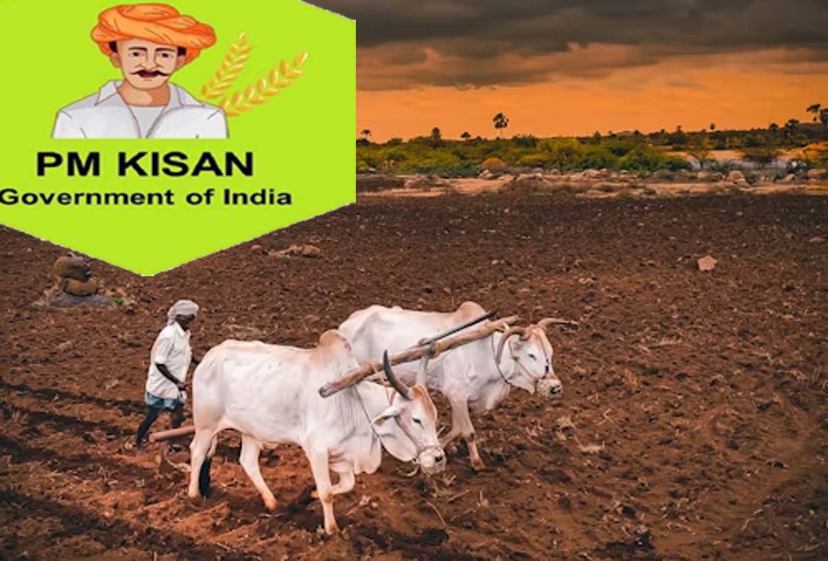 pm kisan samman nidhi : 20वीं किस्त की ताज़ा खबर